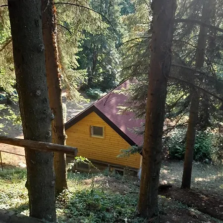 Rudnicka Carolija Apartment *